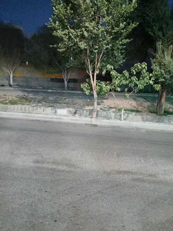 فروش یک قطعه زمین دو نبش شمالی ۵ رو پیلوت