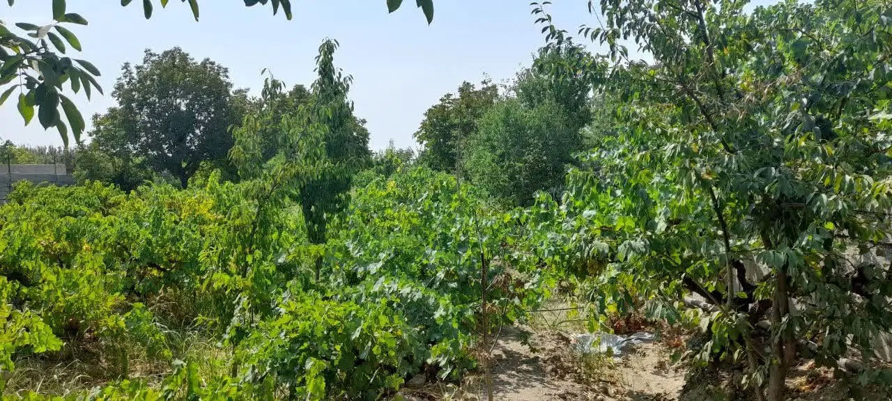 باغ دارای مدارک_لوکیشن فوق العاده