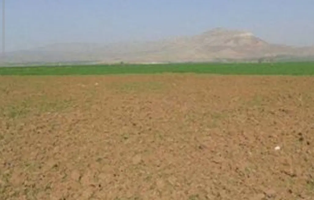 زمین کشاورزی