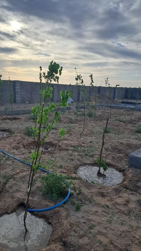 فروش زمین