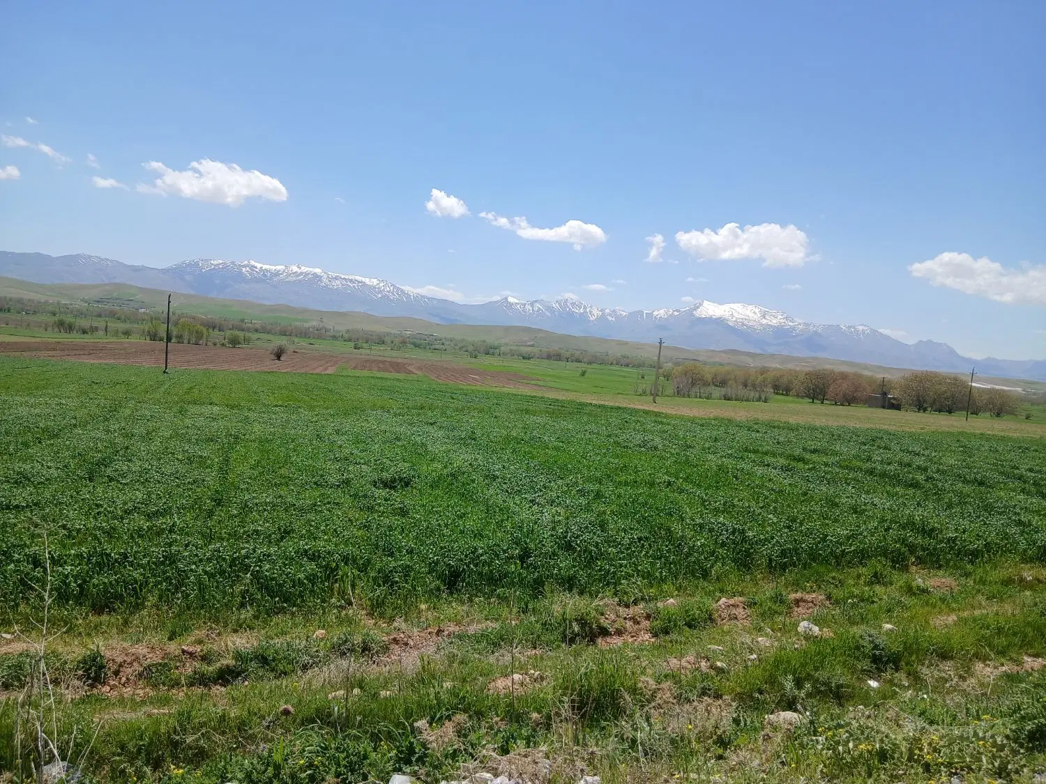 فروش زمین دوقصبی