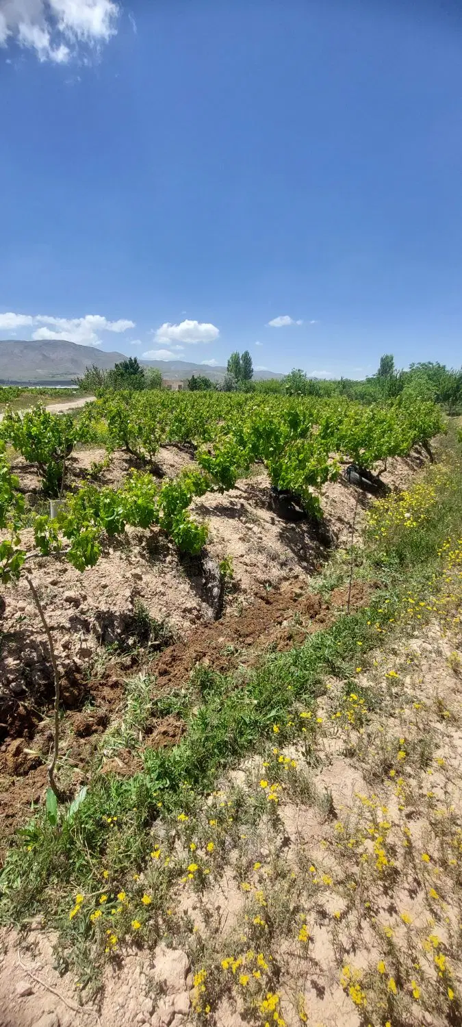باغ انتهای جاده  دهکده پارس ۲۸۰۰متر
