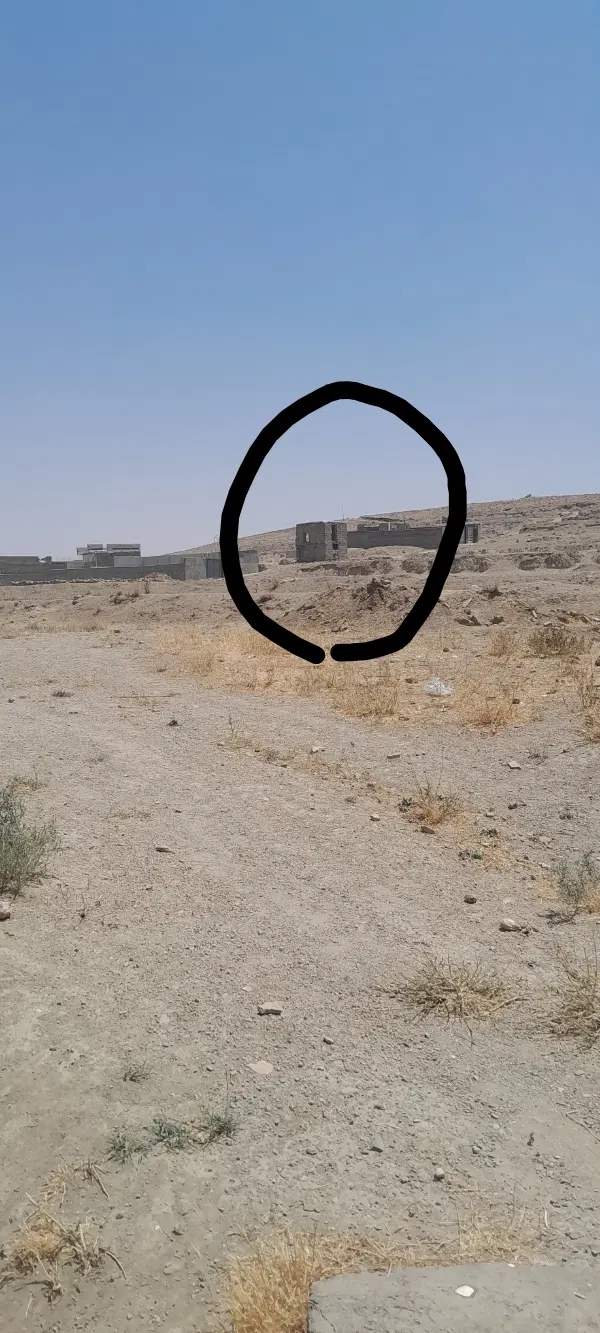 زمین شورین..مناسب برای باغ