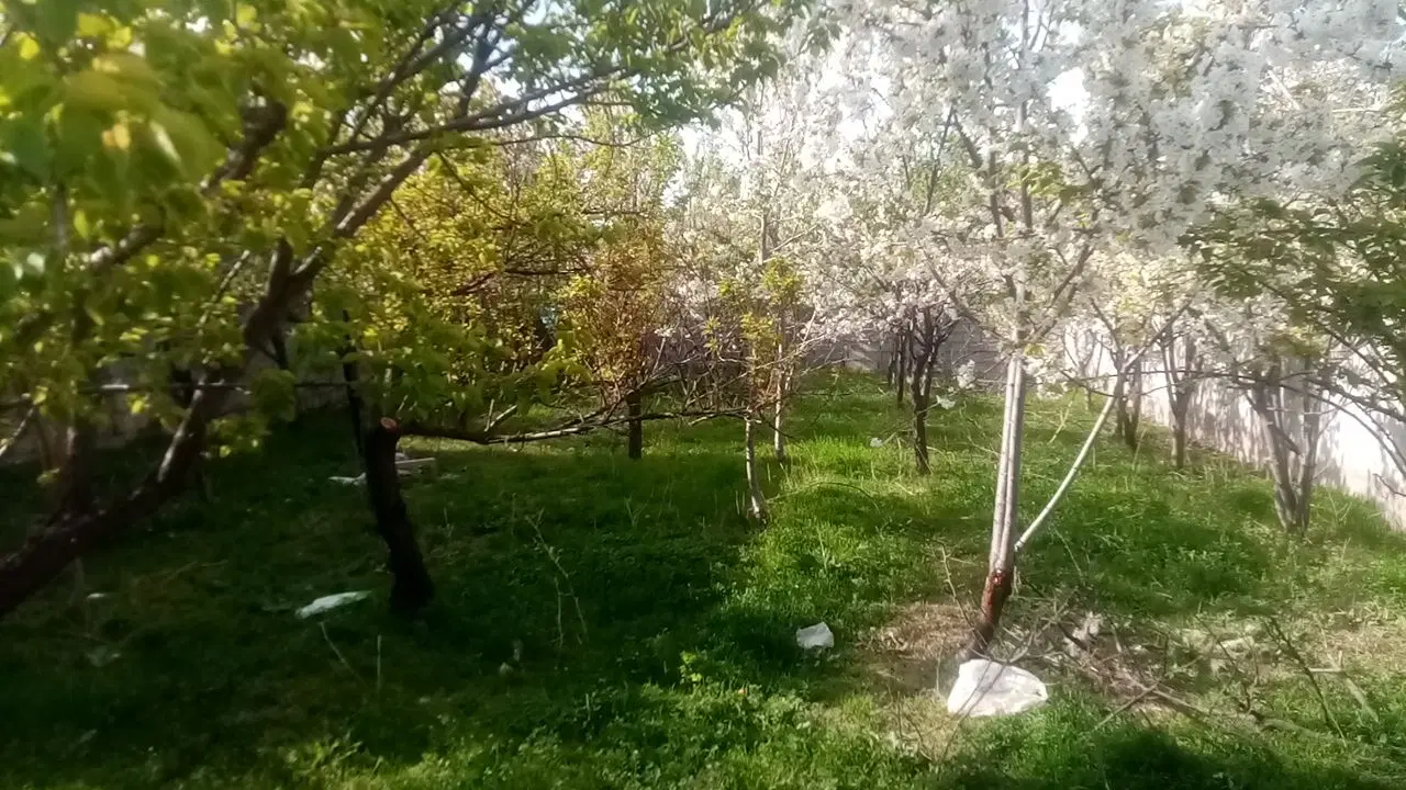۳۳۵متراژ