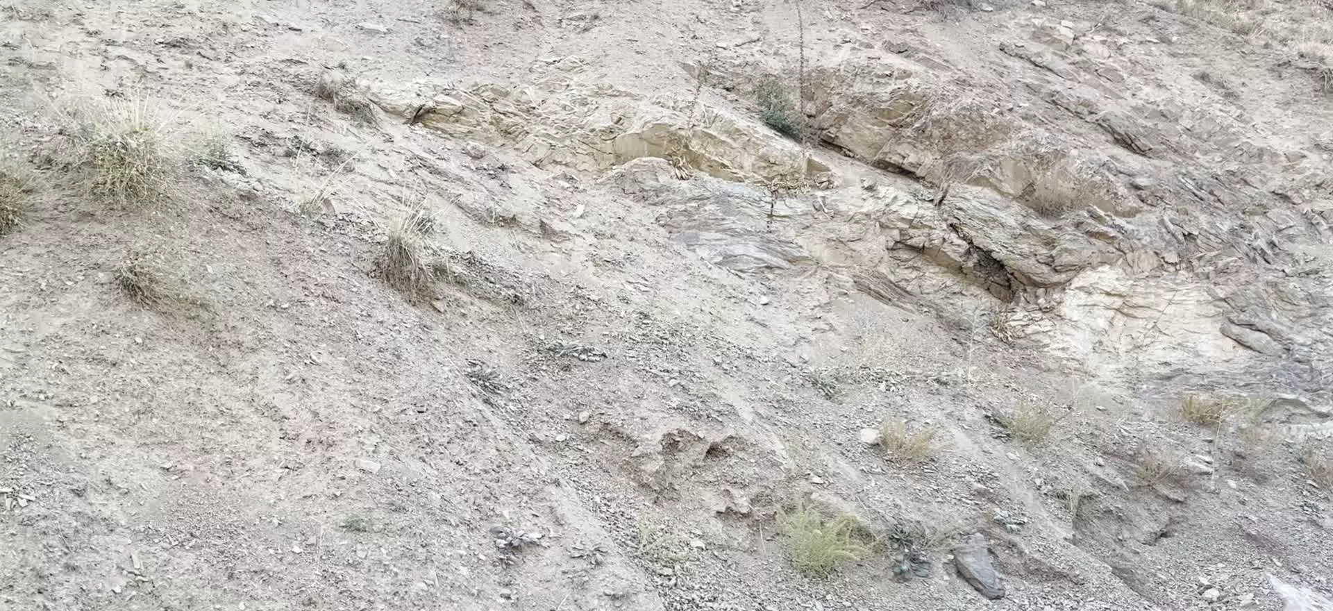 فروش زمین در روستای کلها - جاده چالوس