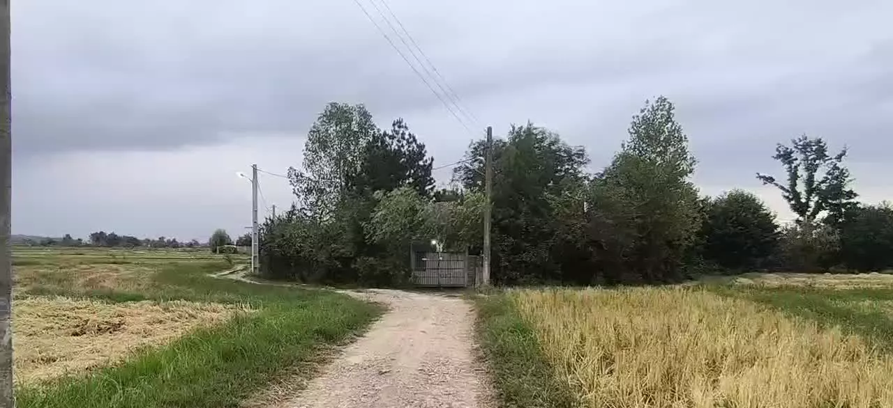۲۵۰۰متر زمین باغی زراعی