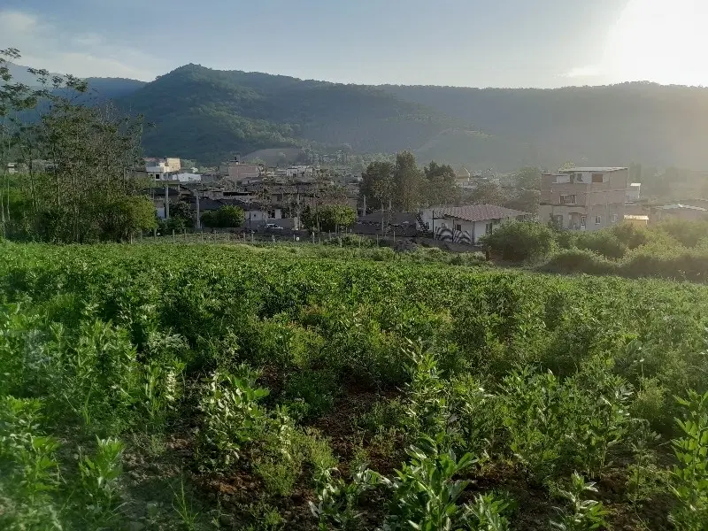 زمین روستا باغ گلبن