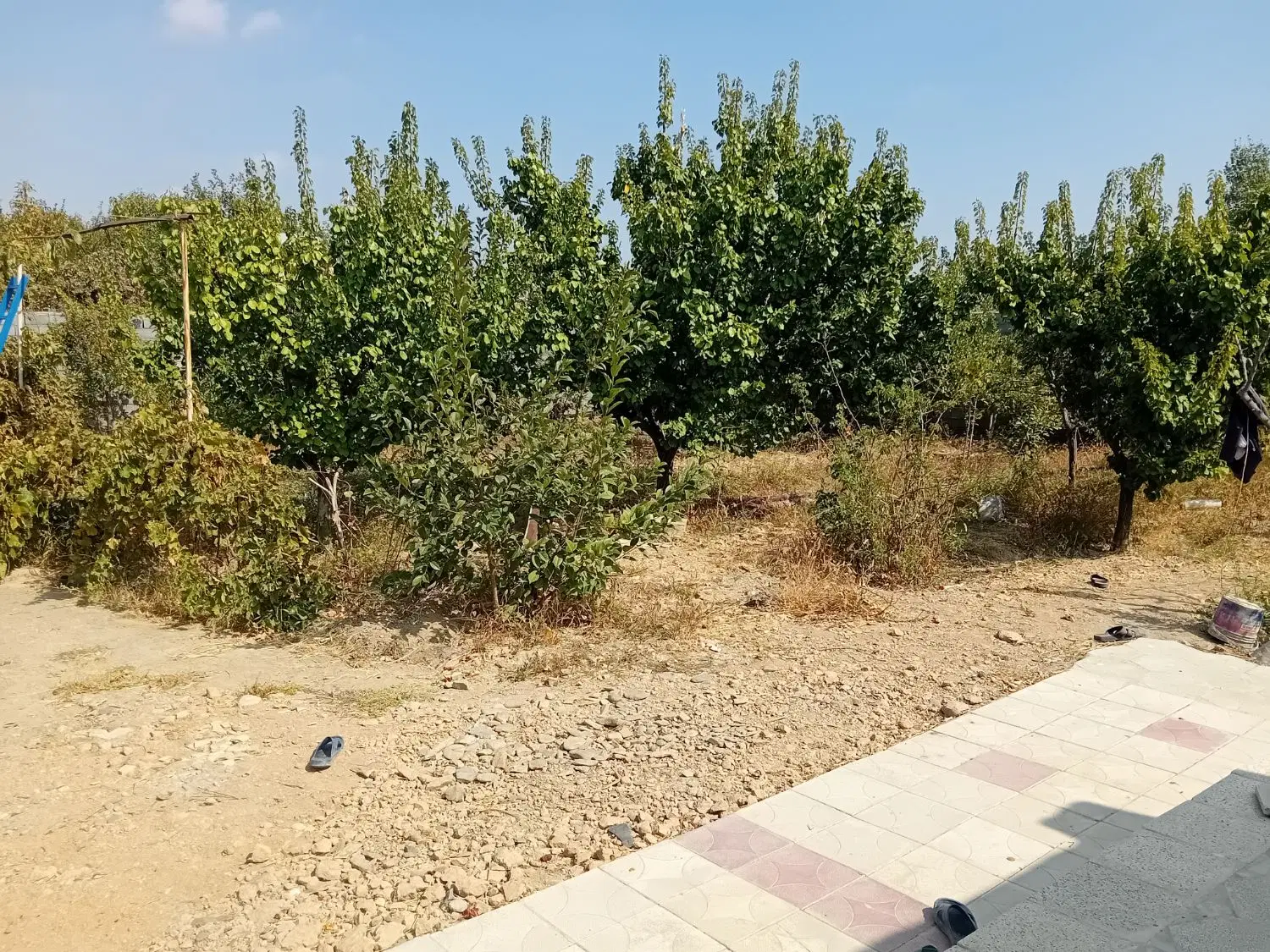 باغ ویلا جاده کاهو ویو ابدی با آب وبرق سند