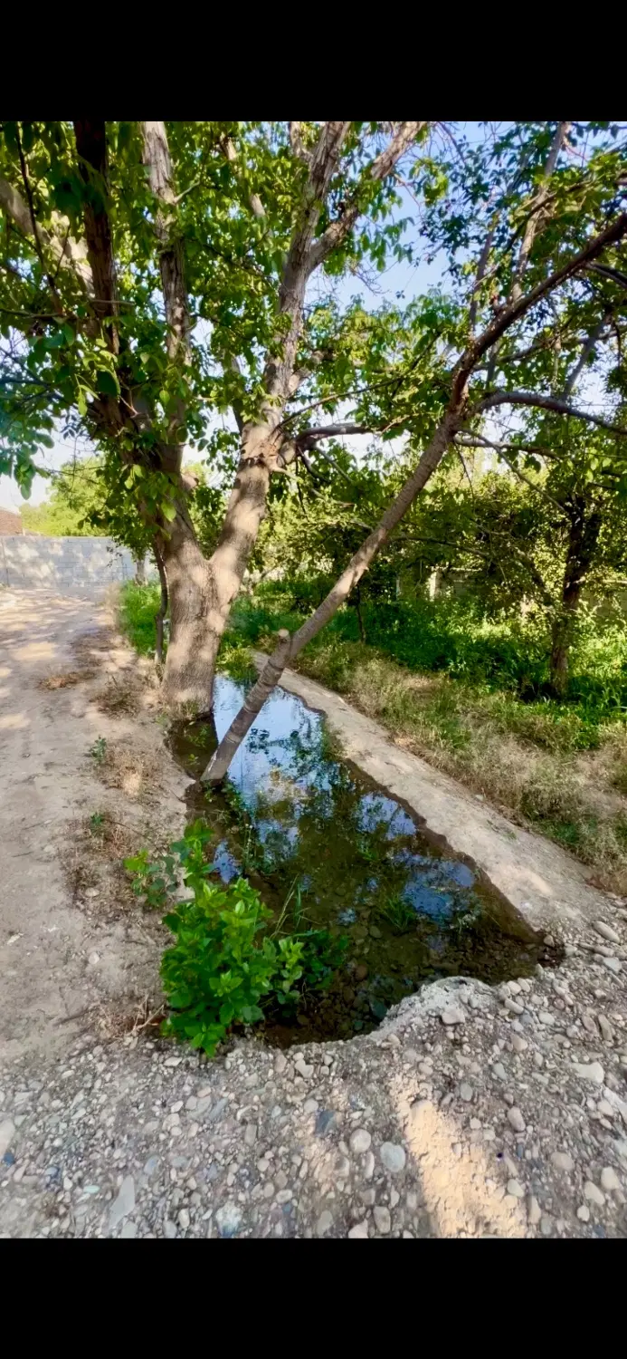 زمین ۴۰۰ و ۸۰۰ متری سنددار  چهارباغ