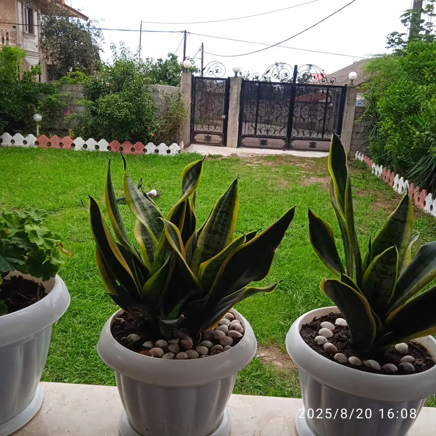 ویلااجاره ای