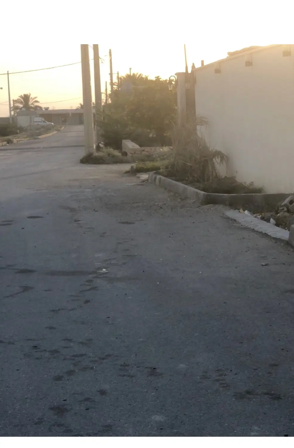 فروش زمین باغی در گورک پهلوانکشی