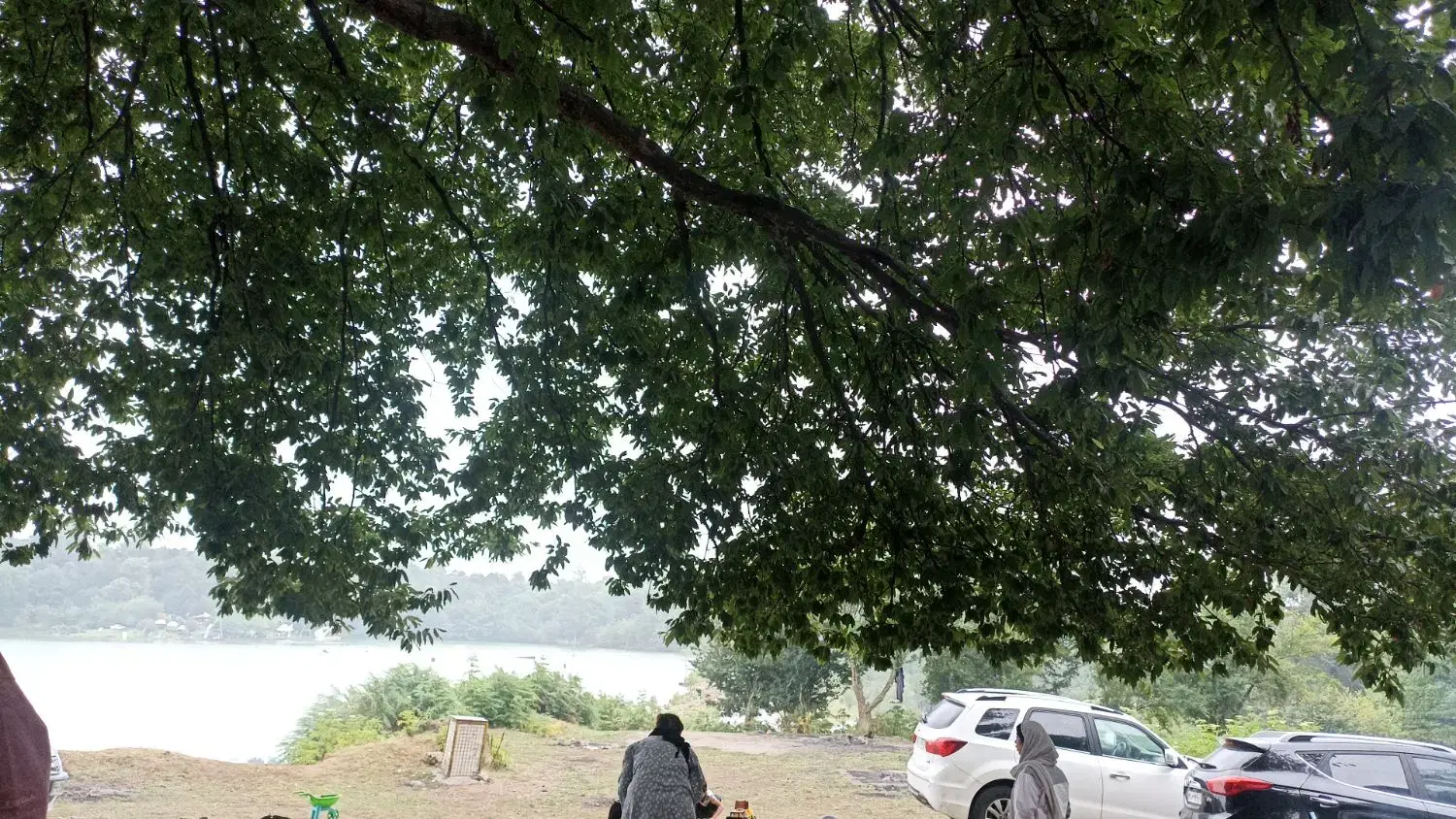 باغ ۲۱جریبی