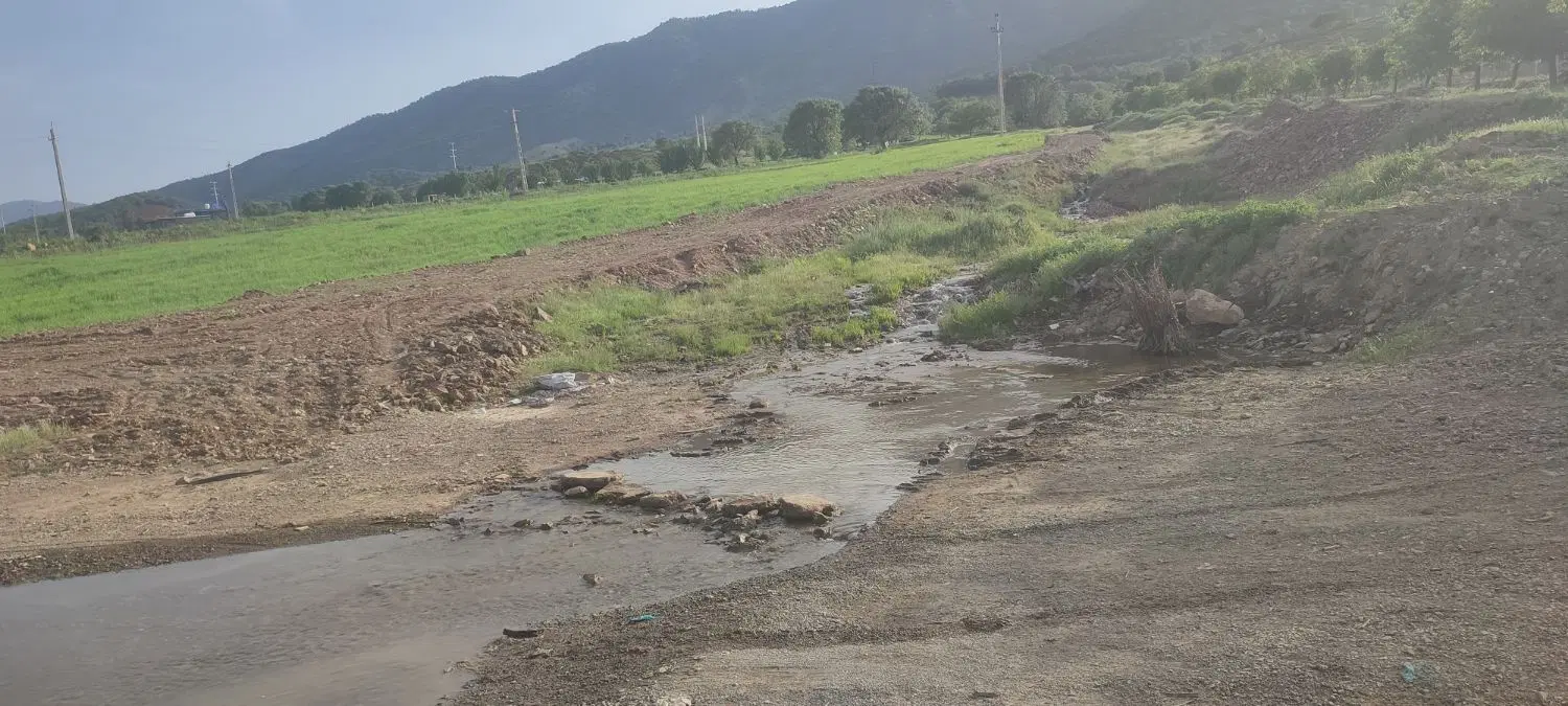 زمین کشاورزی ینگیجه