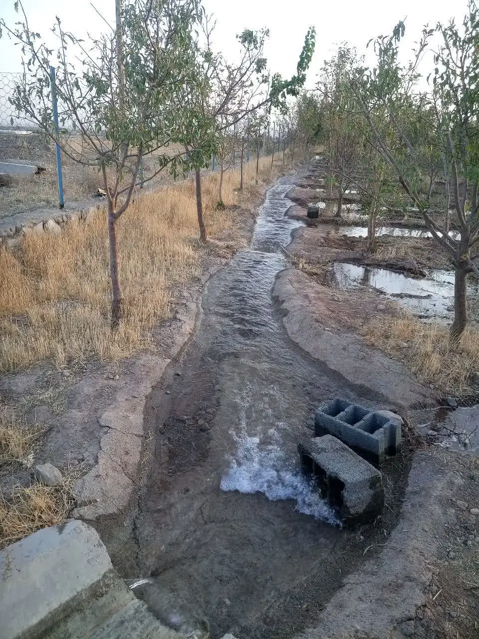باغ دوهزار متر روستای دشت