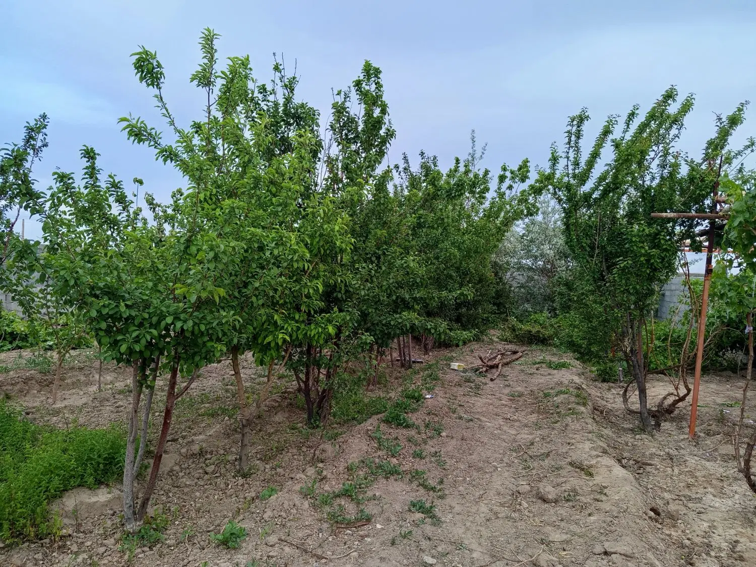 فروش خانه باغ ۴۰قصب امتیازات کامل