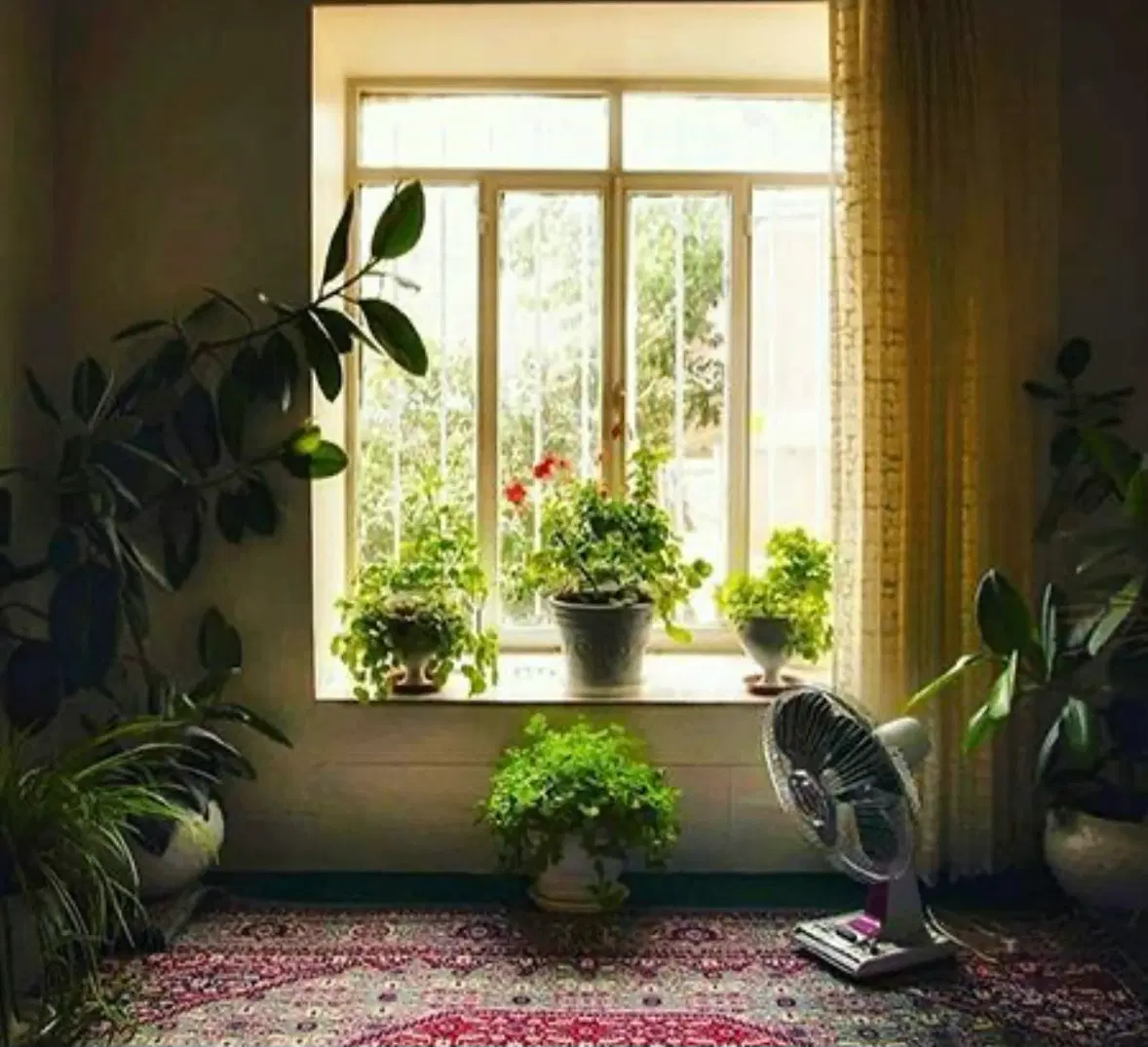 اجاره سوئیت بدون خواب