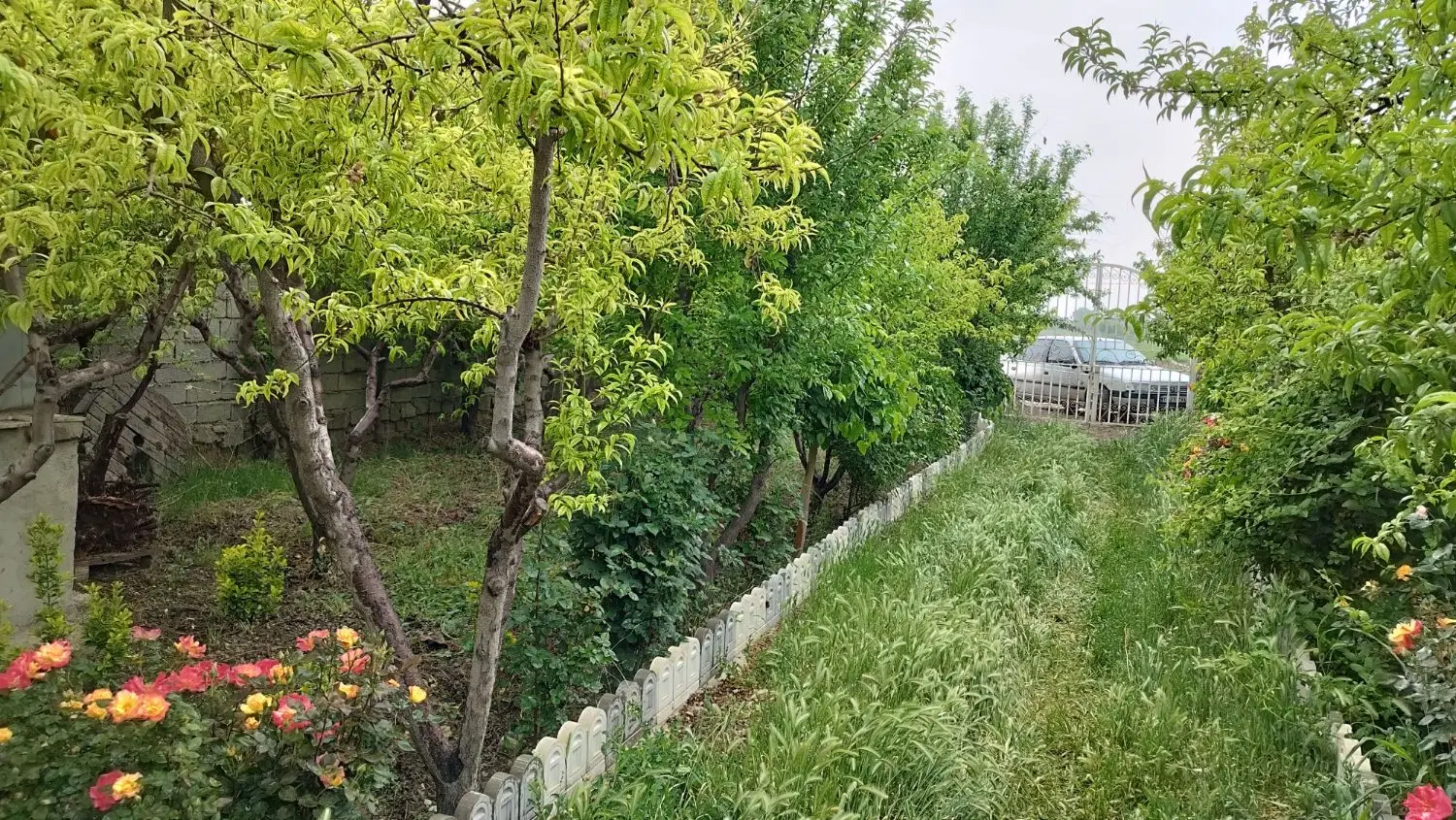 باغچه نقلی