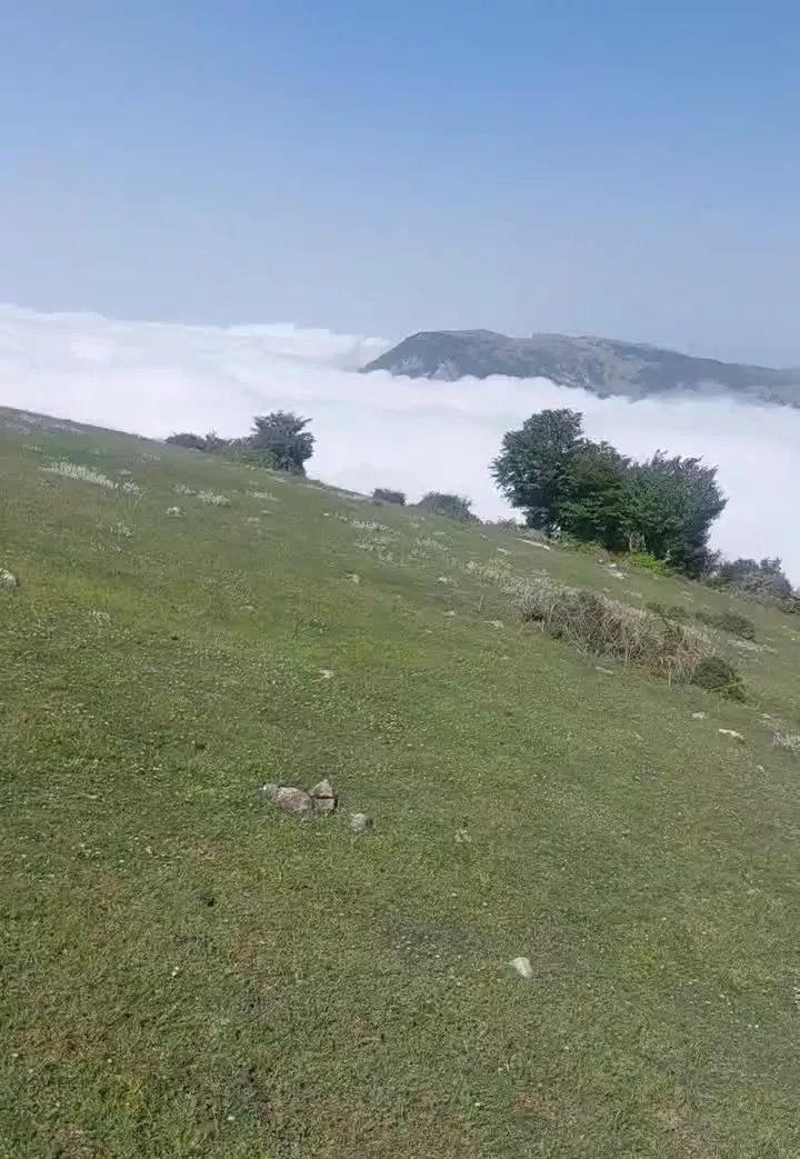 زمین‌های مسکونی ویلا باغ در همه جایاستان گیلان