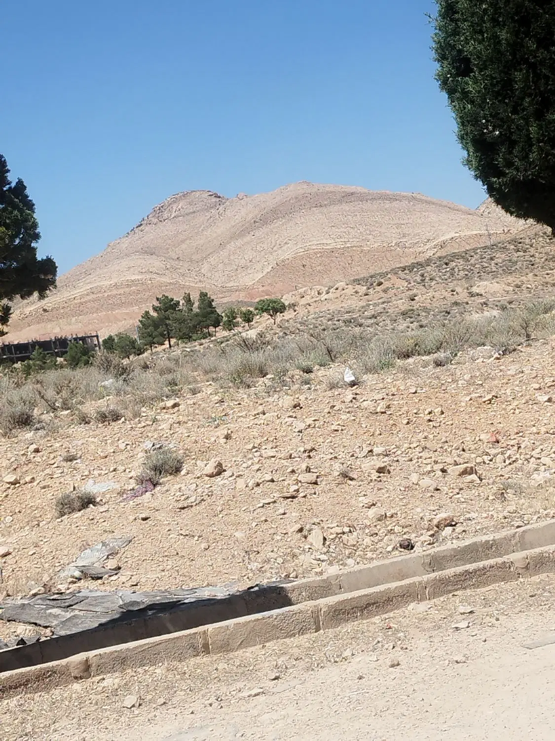 امتیاز زمین اموزش پرورش