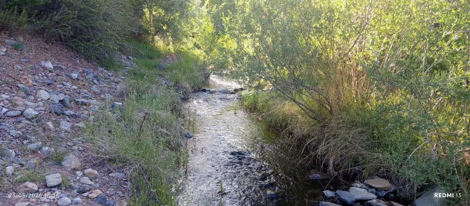 خانه اجاره ای در روستای راین