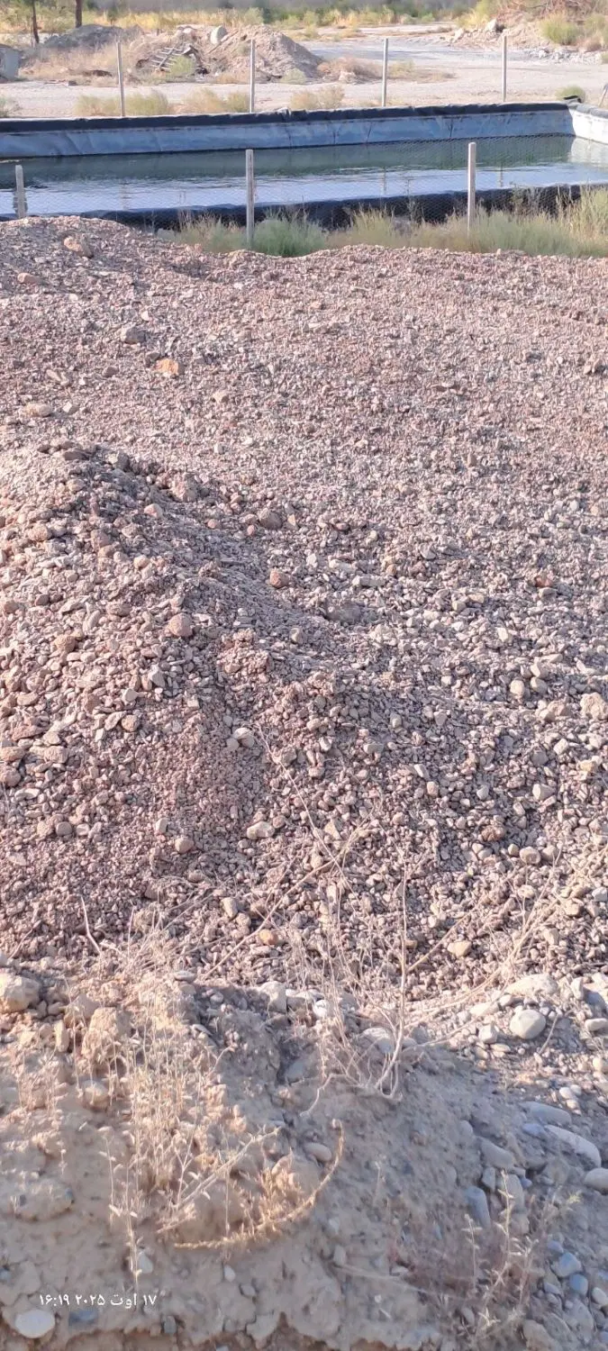 زمین باغی