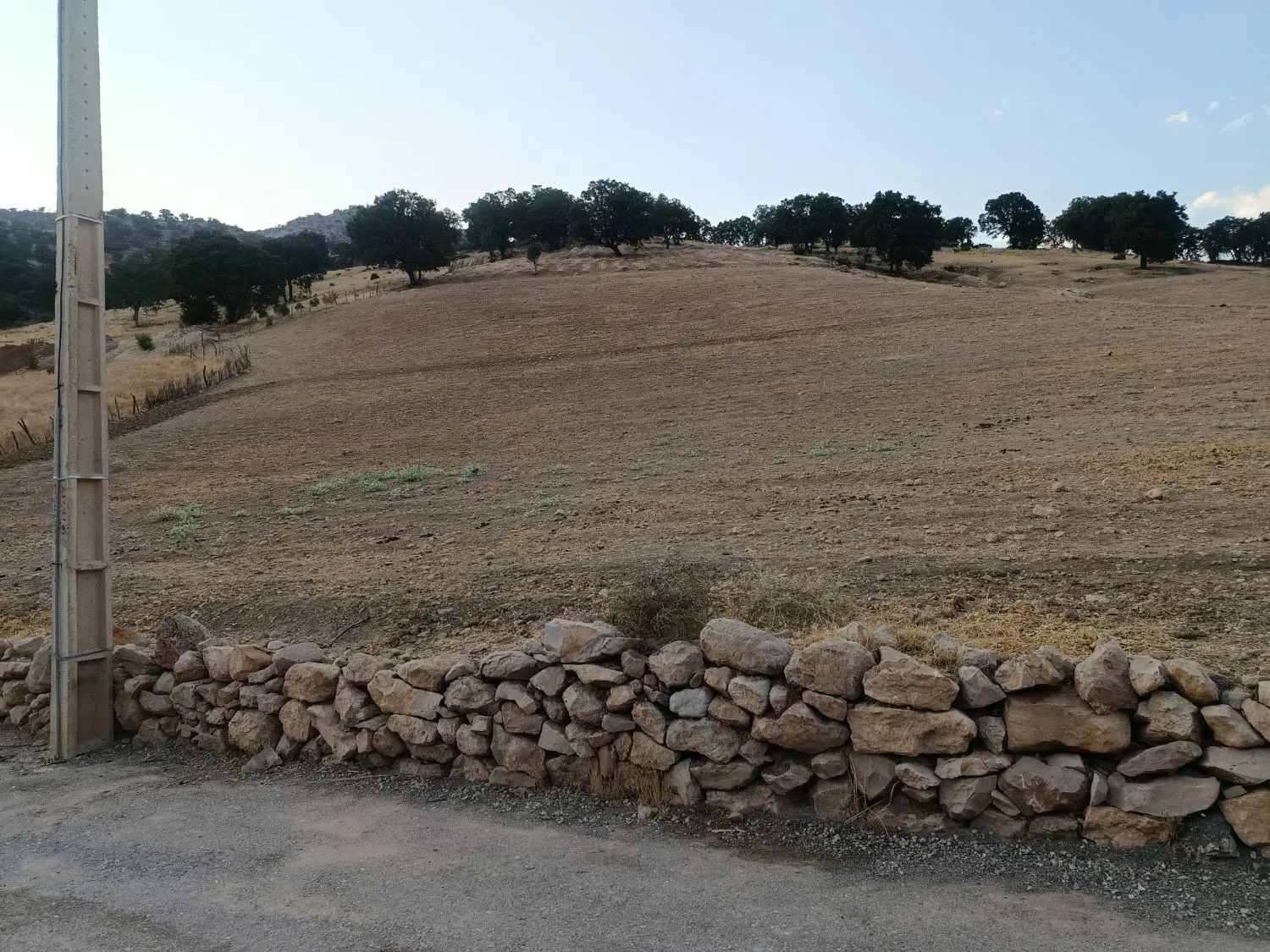 زمین