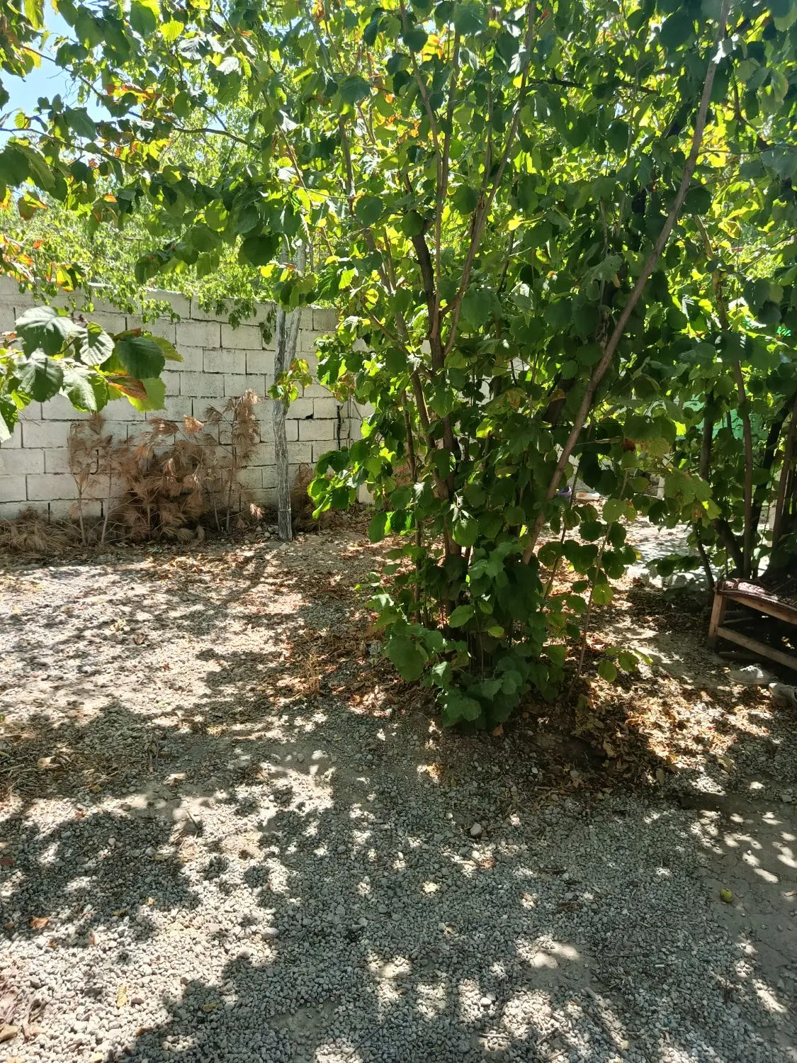 ویلا‌در‌مرکز‌باغ‌شهراسکو
