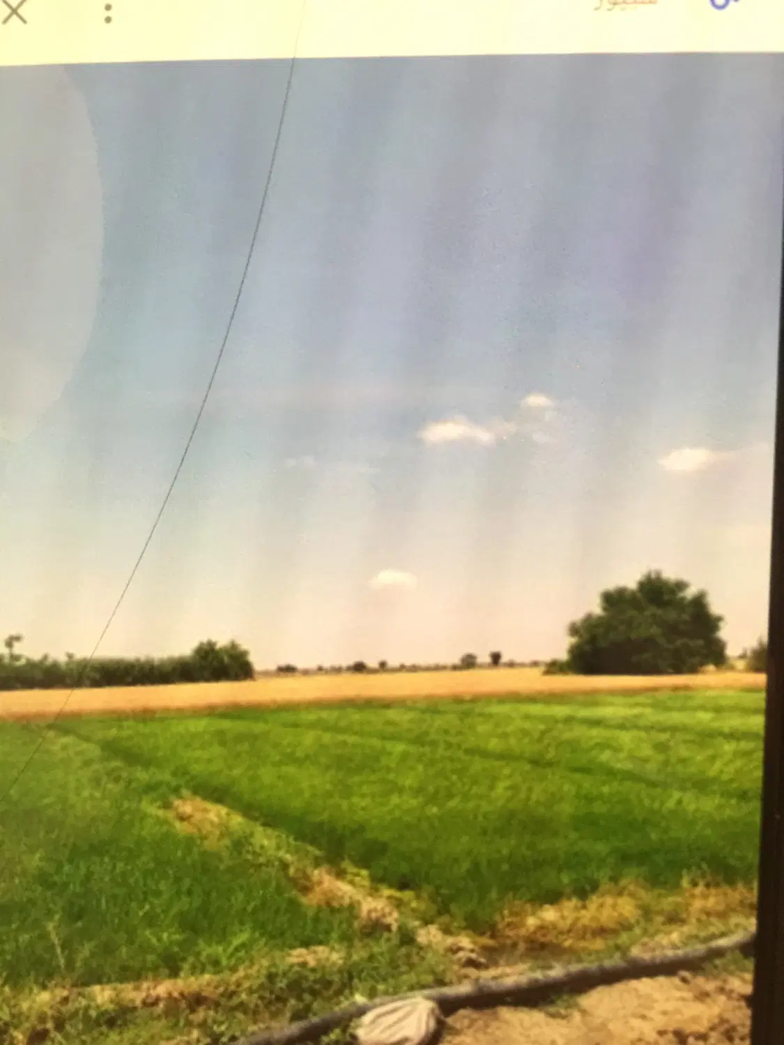 زمین کشاورزی ۷۵۰۰ متر روستای خوجه توپ