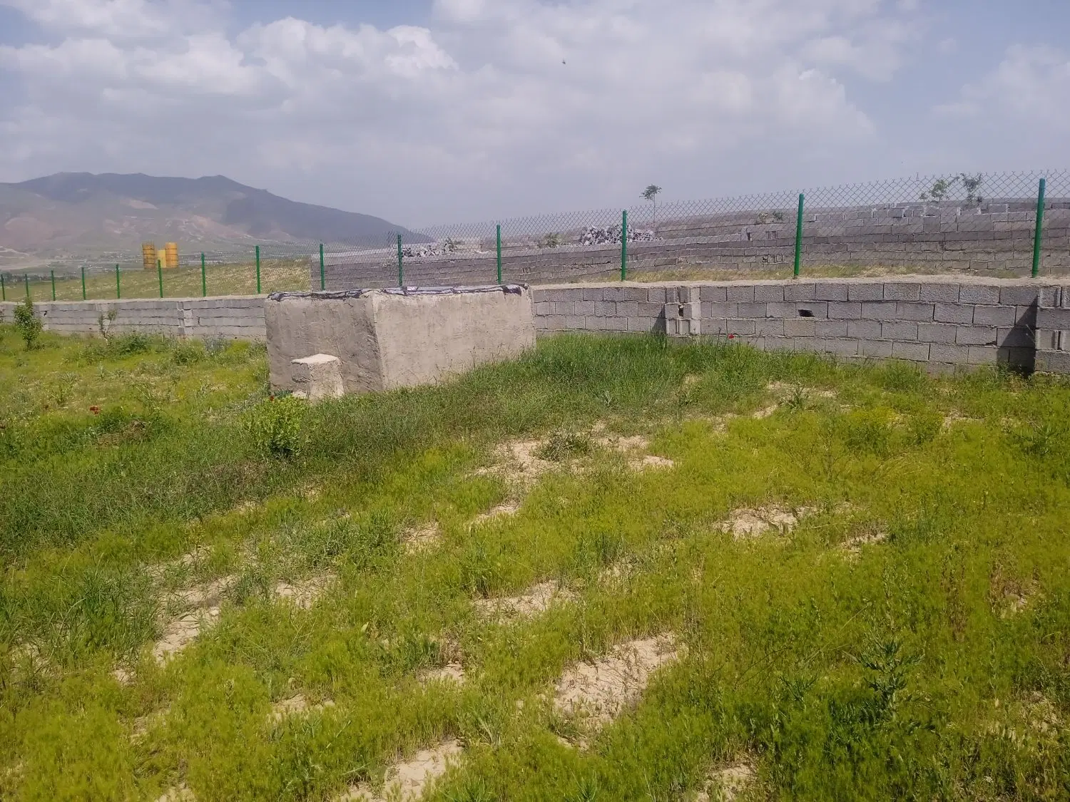 باغ در اسپیران جنگل یولی