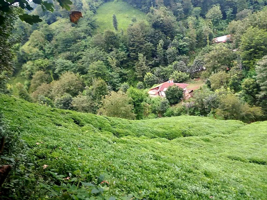اجاره ویلای کوهستان