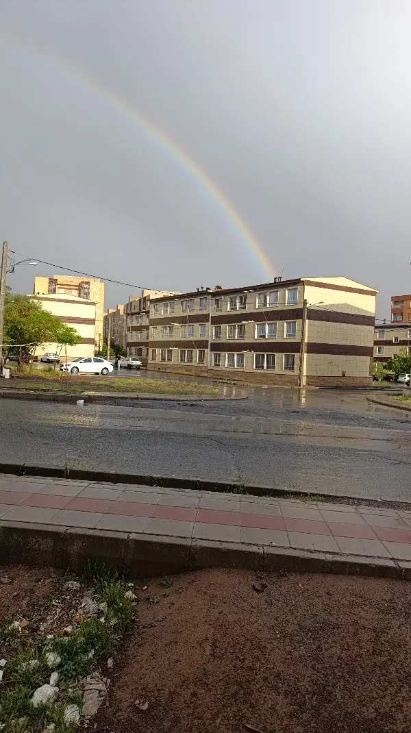 همخانه خانم افغان