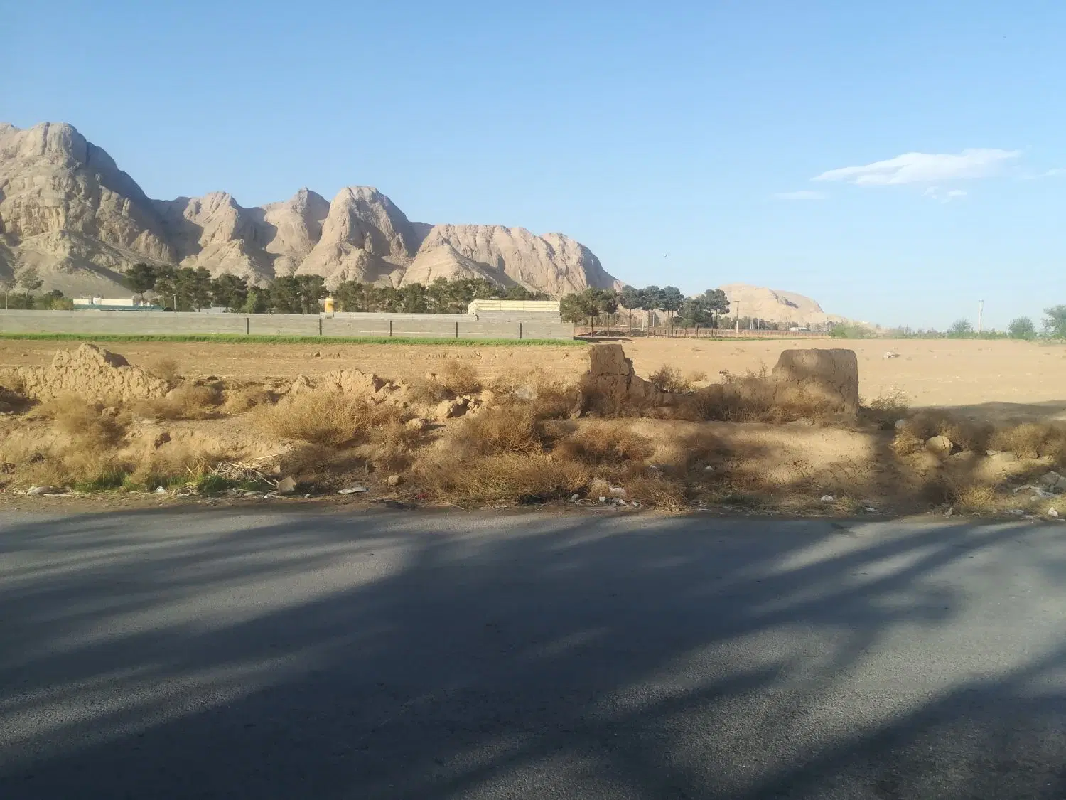 700زمین زردنجان