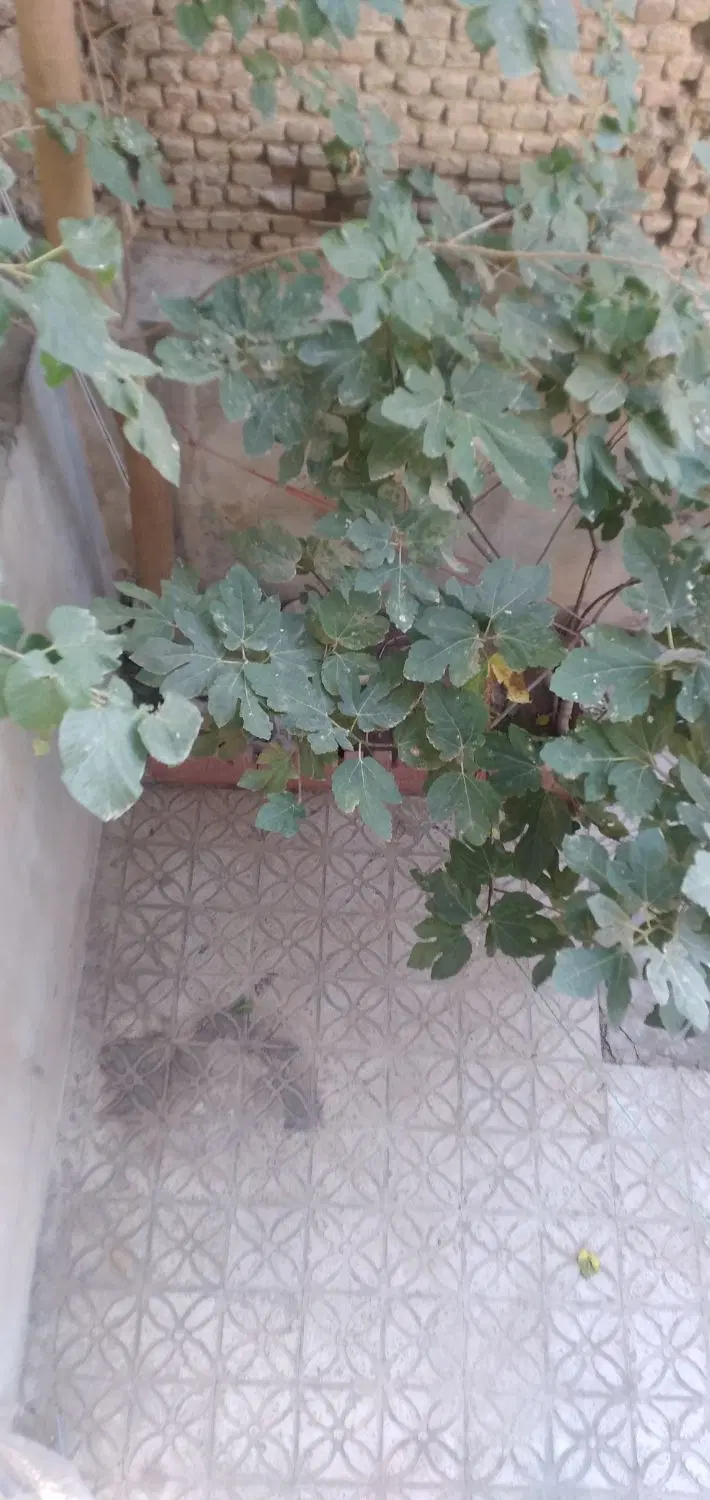 خانه ۱۲۰ متر