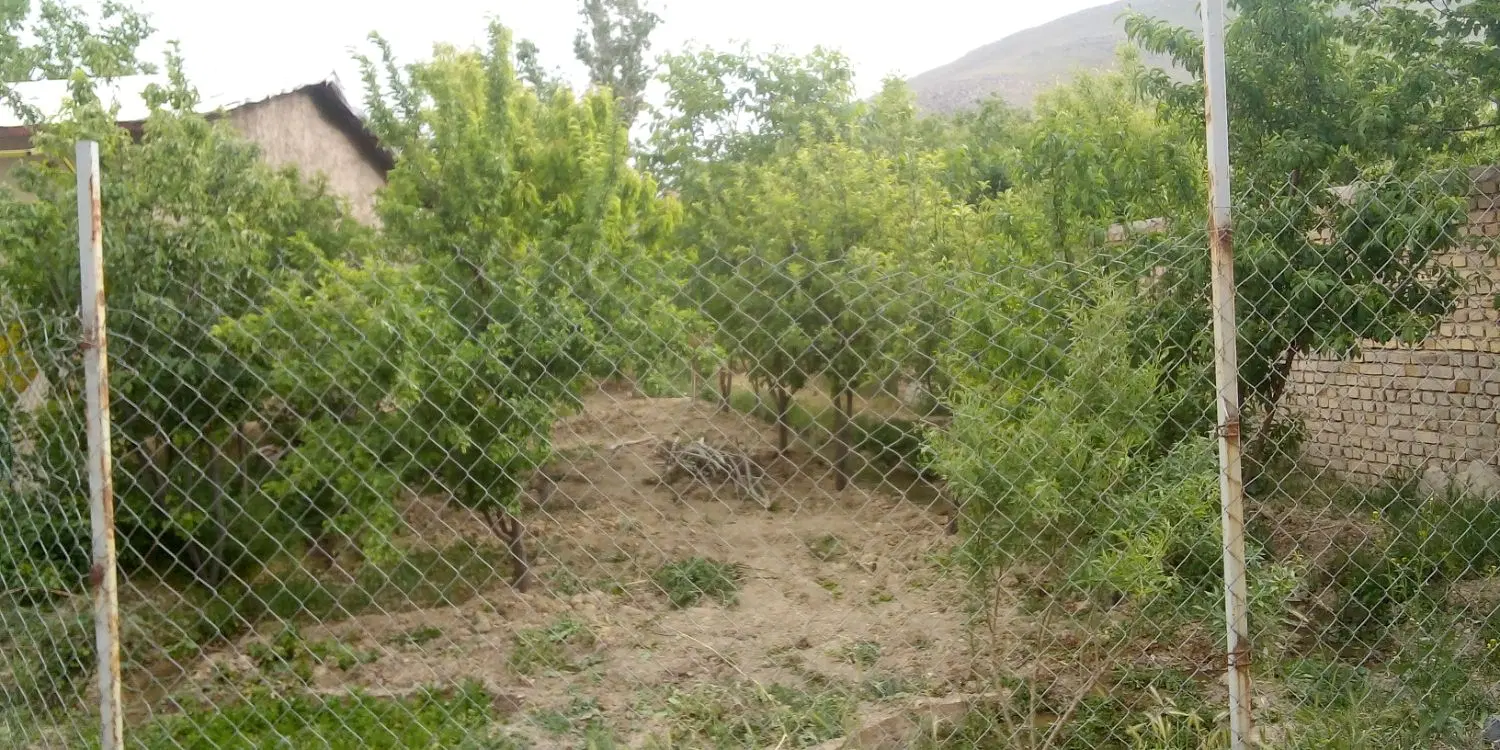 فروش زمین با درخت میوه