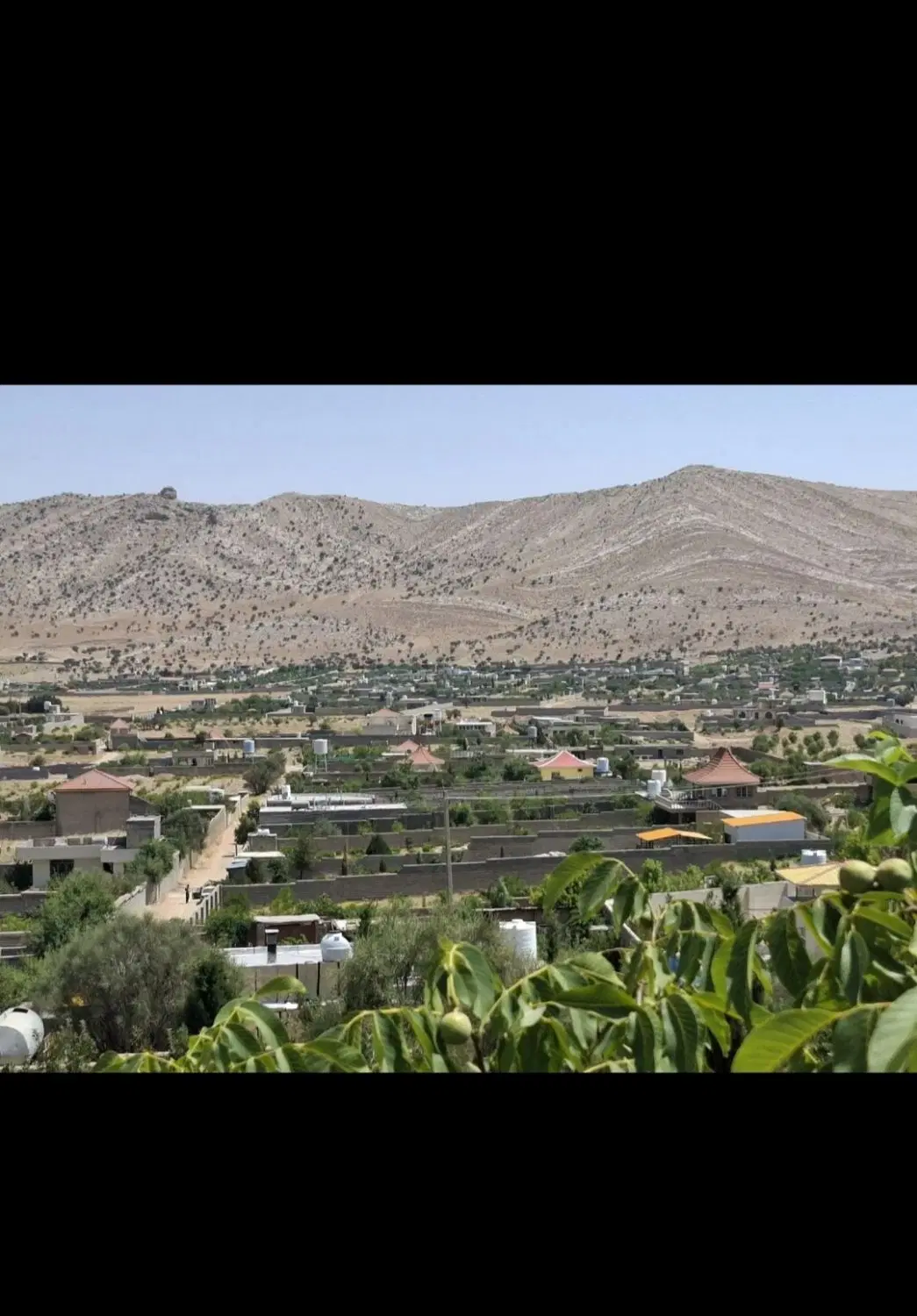 فروش فوری زمین باغی