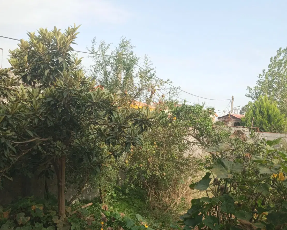 زمین ۲۰۰ متری معاوضه