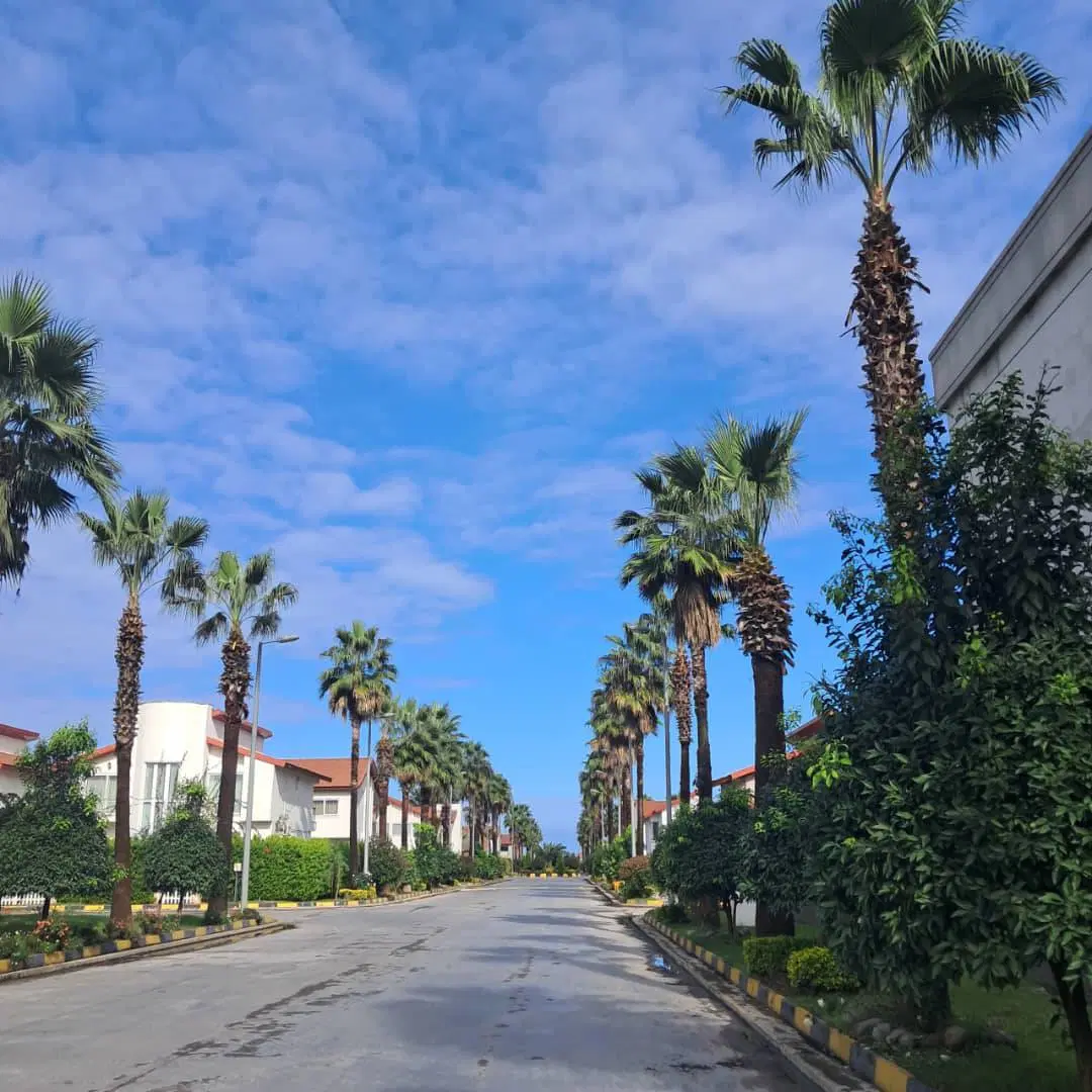 ساحلی سند تک برگ دوبلکس لاکچری