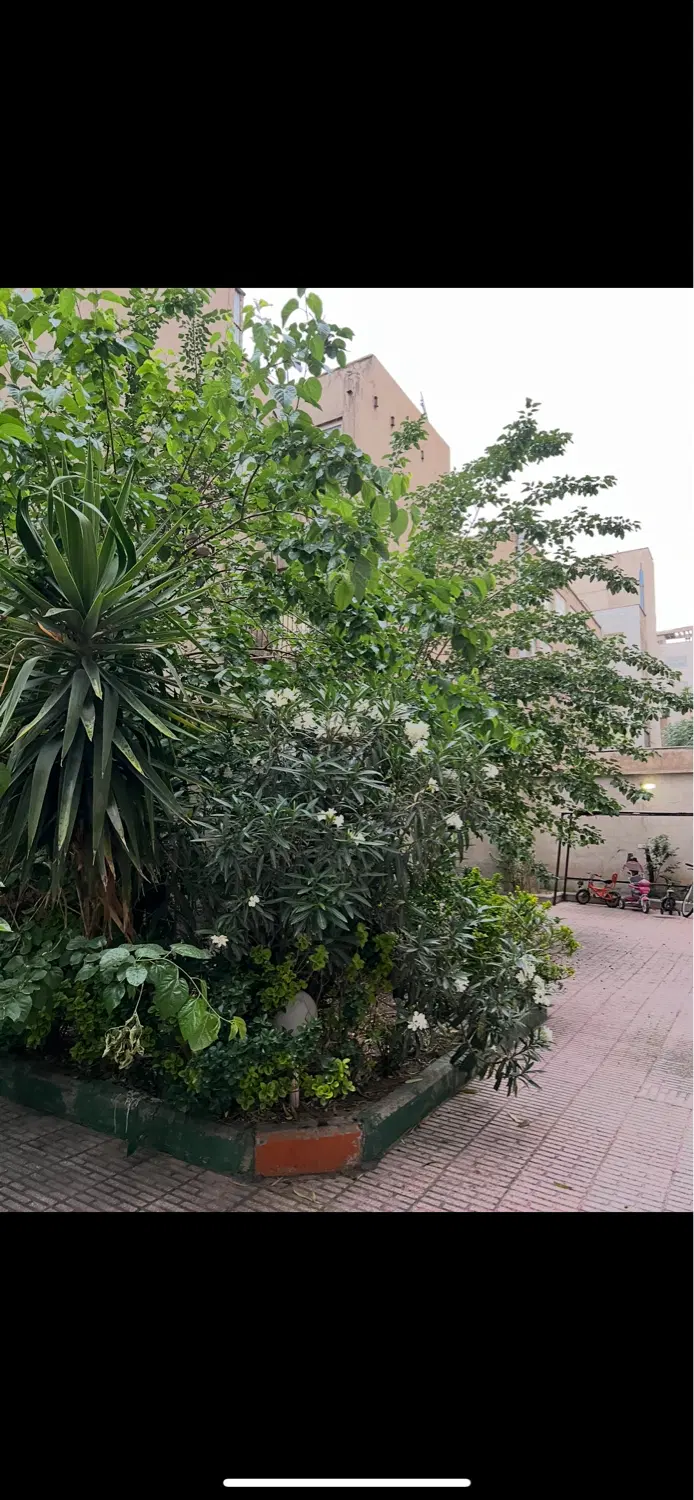 آپارتمان ۵۰ متری خیابان کاشان