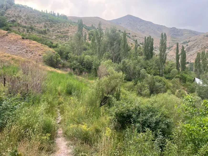 زمین جاده چالوس معاوضه با خودرو خارجی و خانه