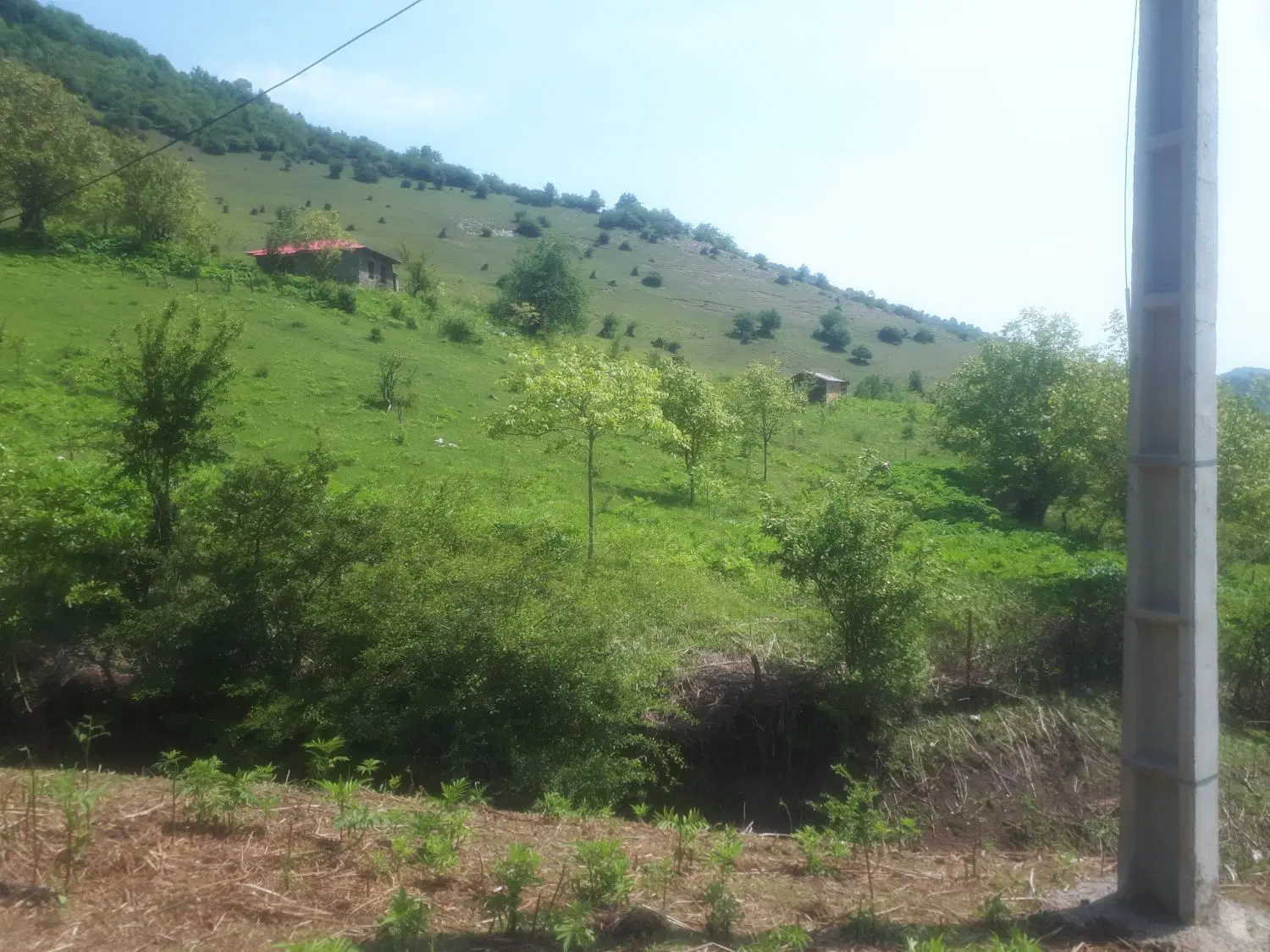 فروش ۳۰۰ متر زمین در روستای ییلاقی سرداوین پره سر
