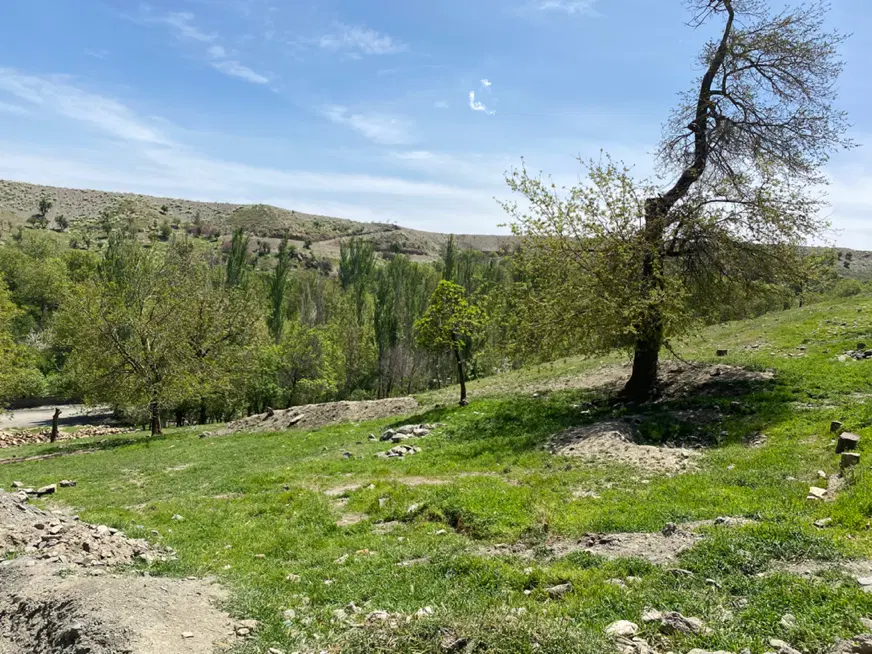 زمین ملکی ۲۲۵ متر بام مشهد ، انتهای هاشمیه