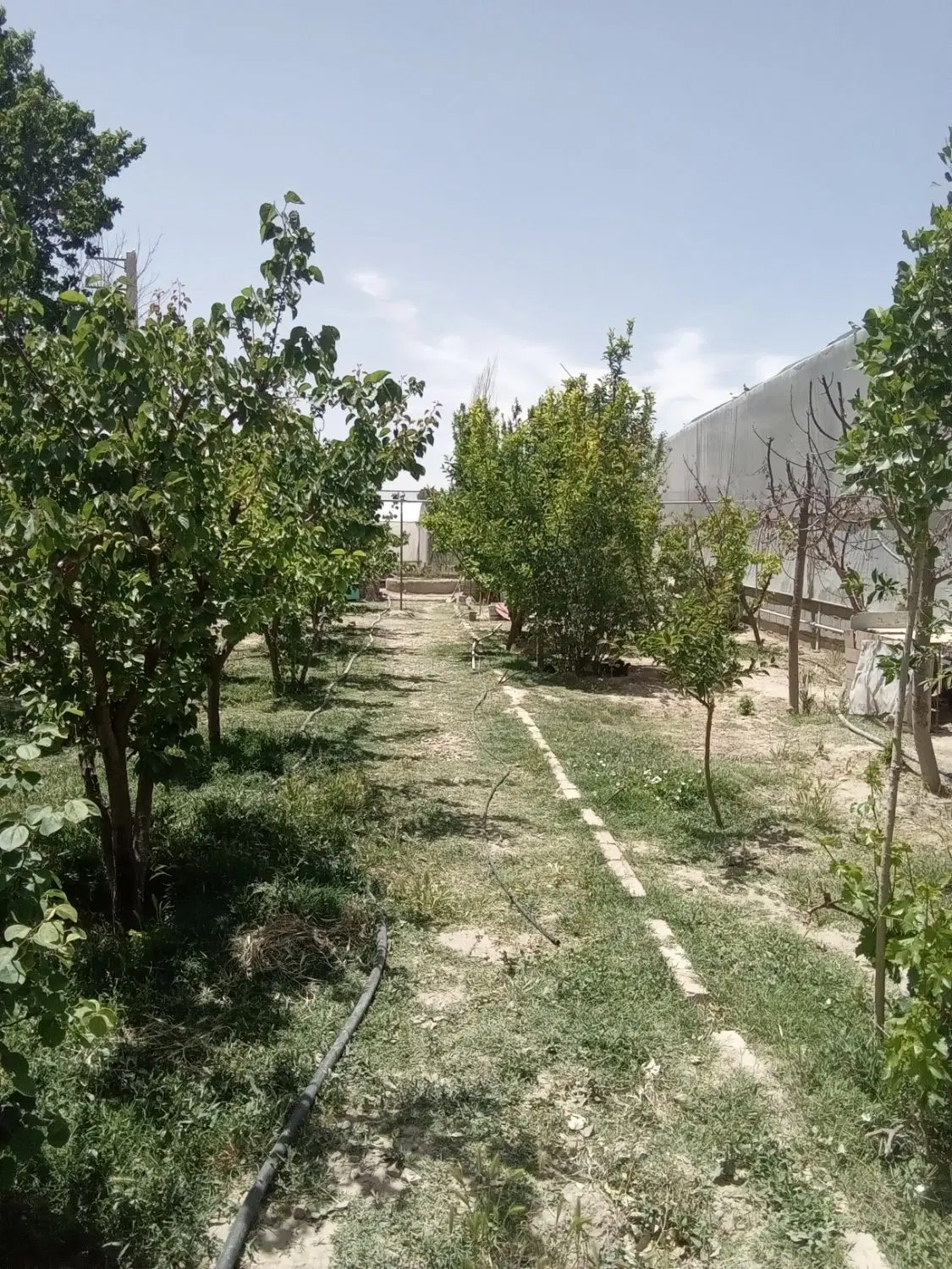 زمین خلیج فارس فروشی