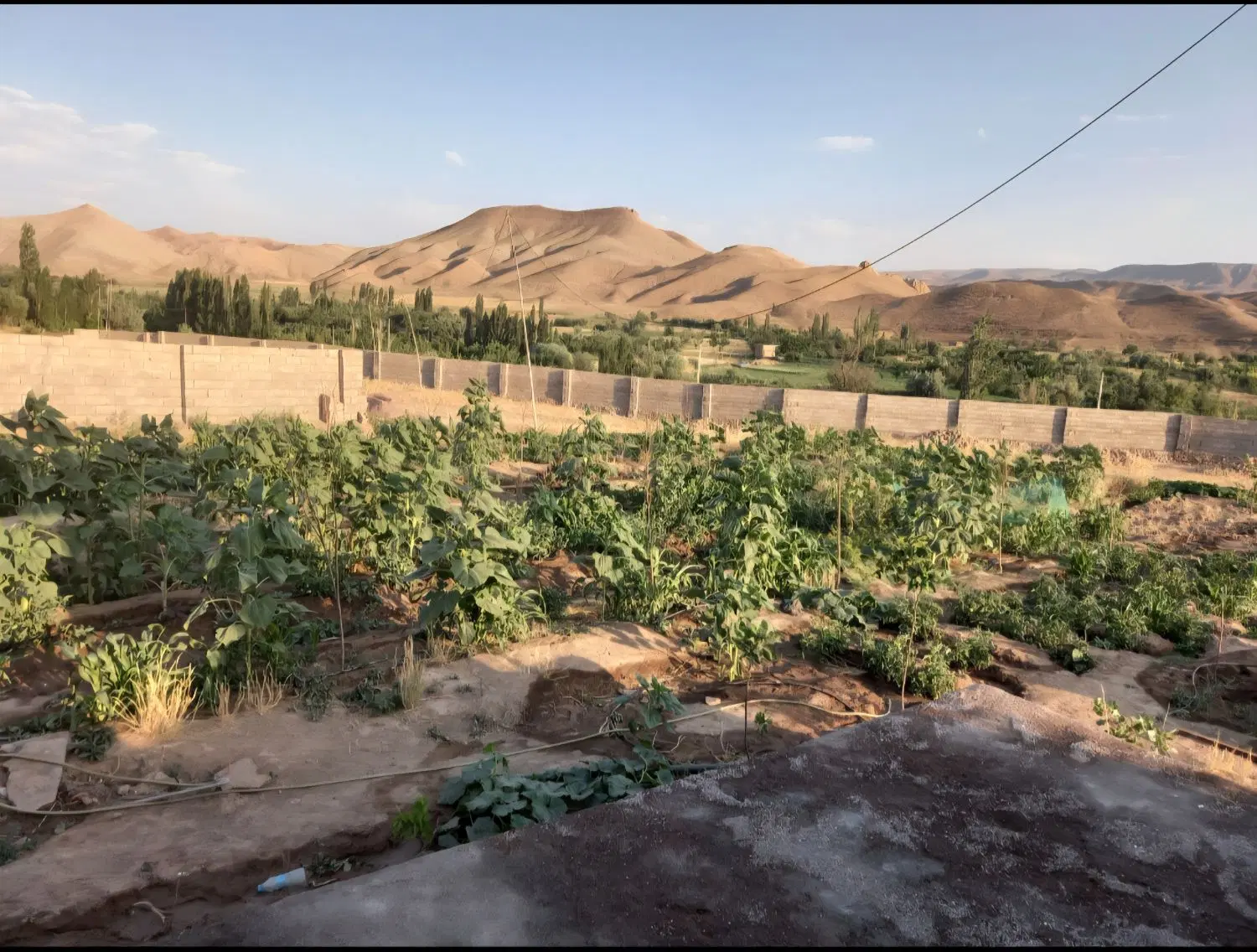 زمین  ویلایی