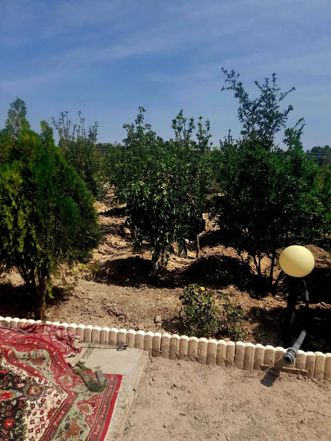 فروش باغ