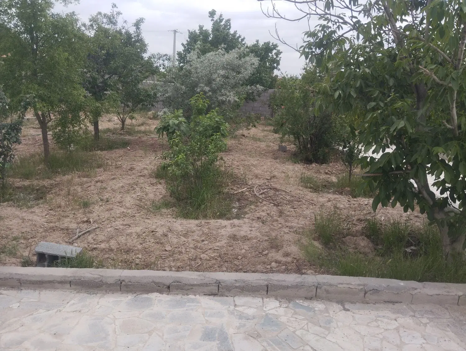باغ شاهنامه 68