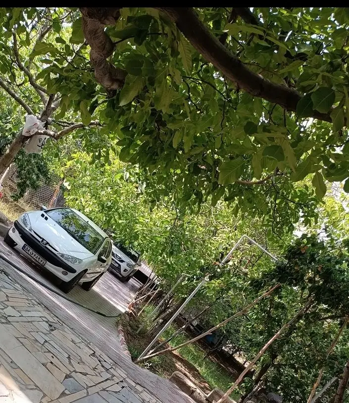 ۳۰قصب زمین عرب اباد همراه باسهمیه اب دائم روستا