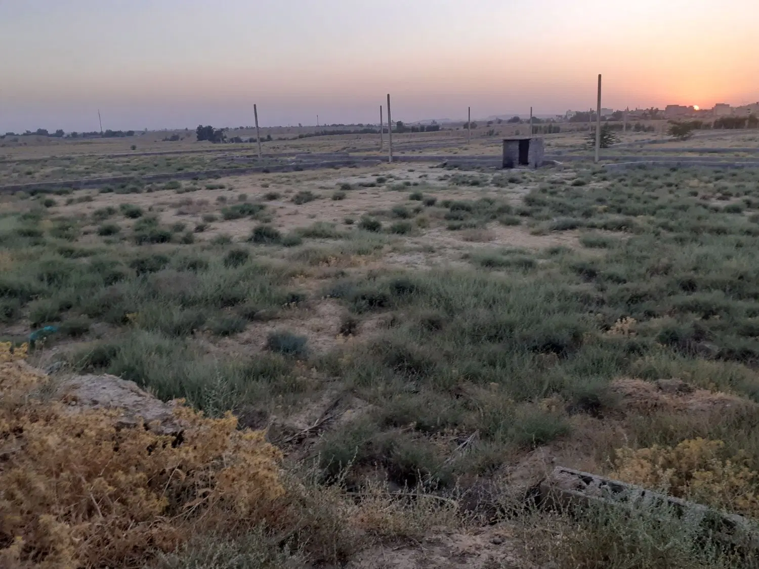 زمین برای فروش