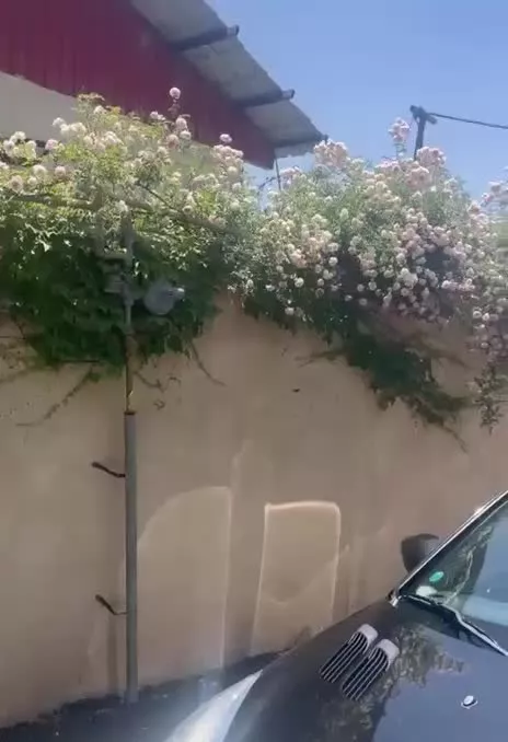 زمین ویلایی قابل ساخت