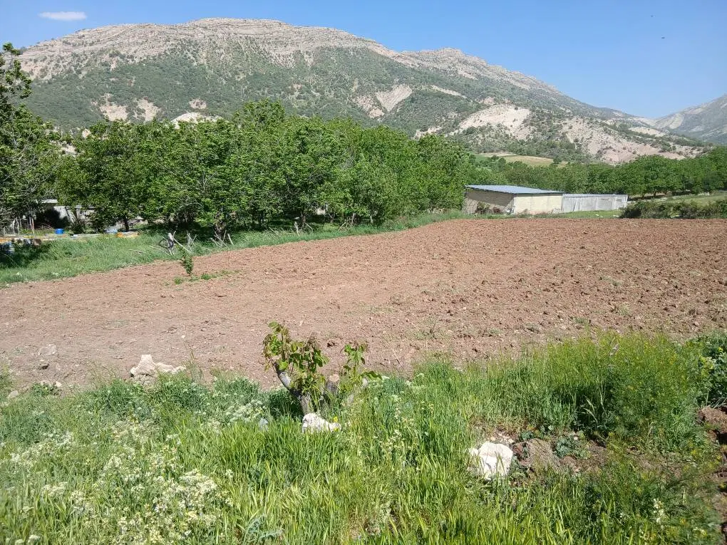 ملک فروشی معاوزه با خانه