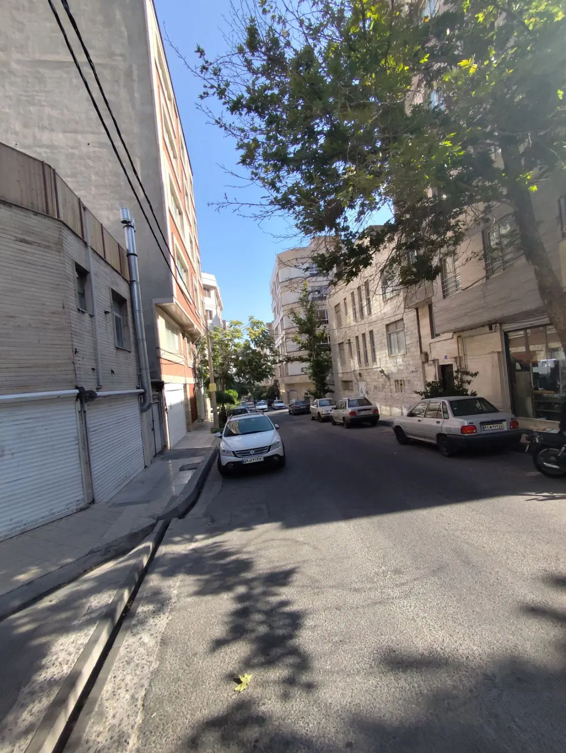 مشارکت نگیر ، این آگهی رو باز کن شگفت زده شو